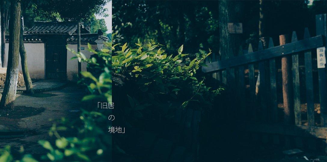 救援男孩贝利